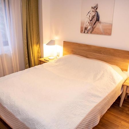Classic Apartment Near The City Center Cluj-Napoca Eksteriør bilde