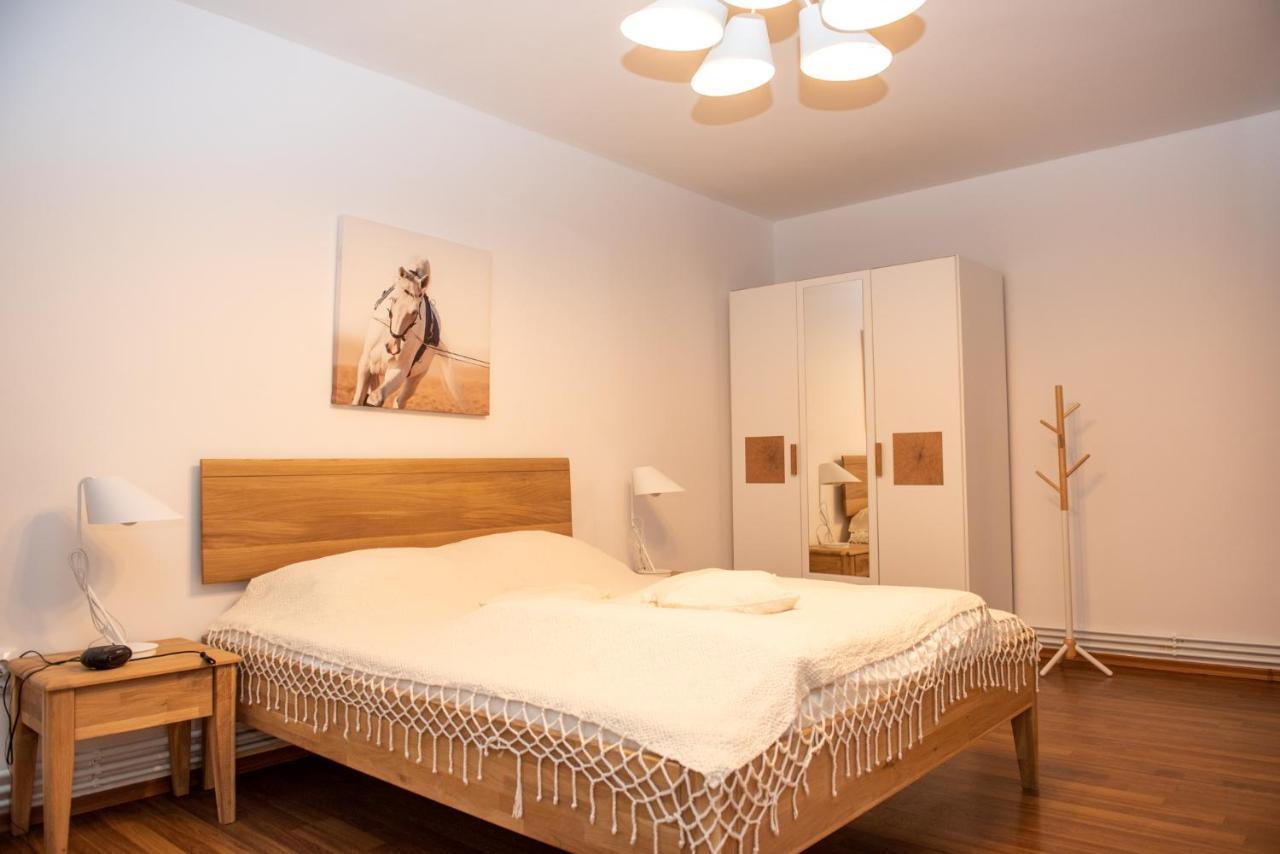 Classic Apartment Near The City Center Cluj-Napoca Eksteriør bilde