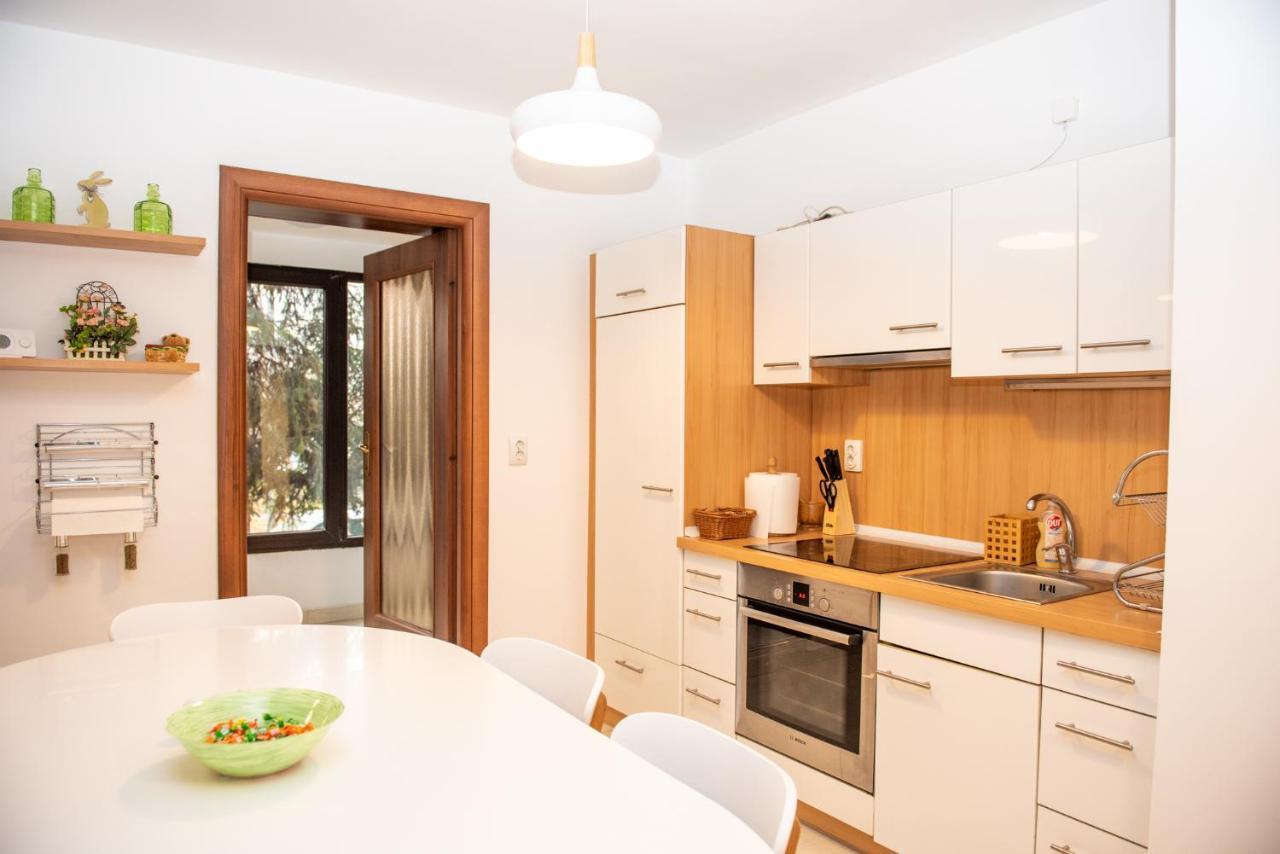 Classic Apartment Near The City Center Cluj-Napoca Eksteriør bilde