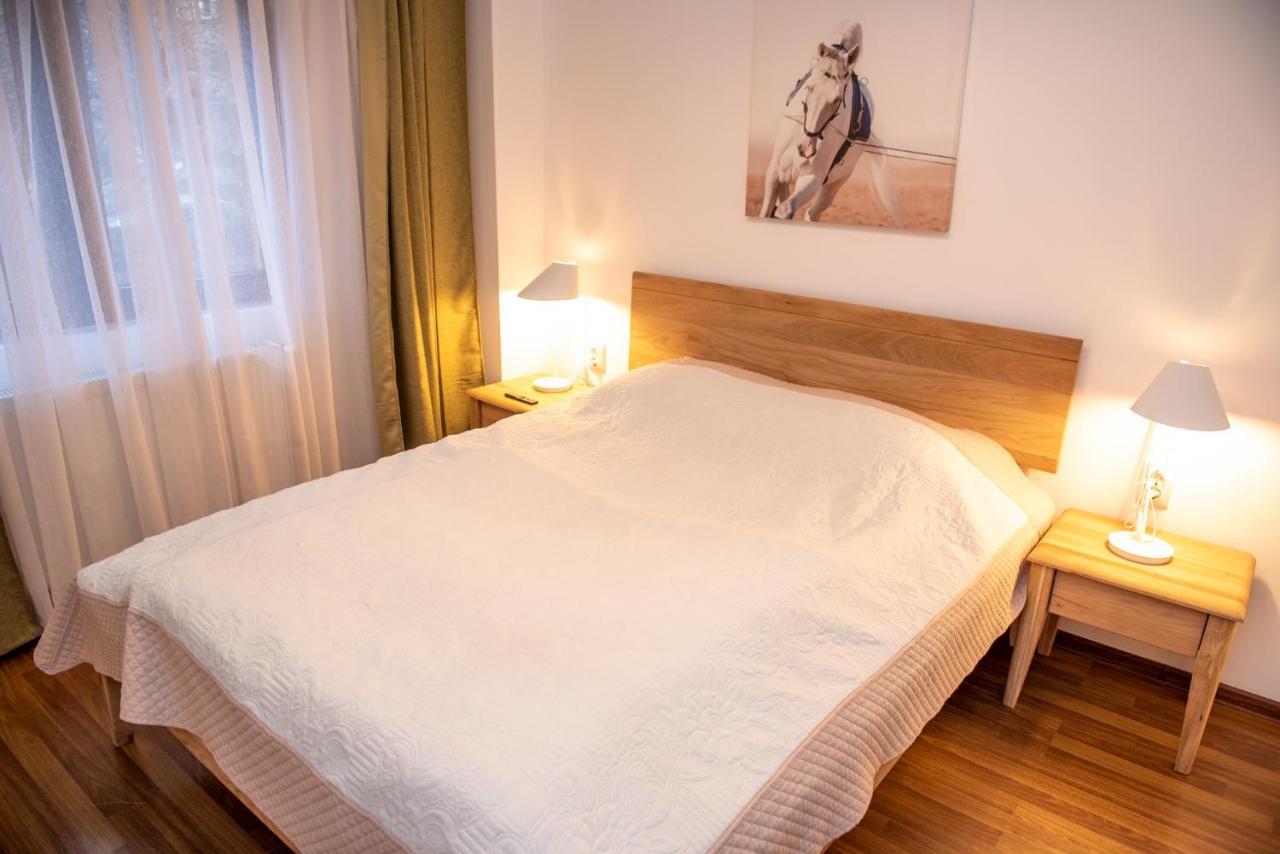 Classic Apartment Near The City Center Cluj-Napoca Eksteriør bilde