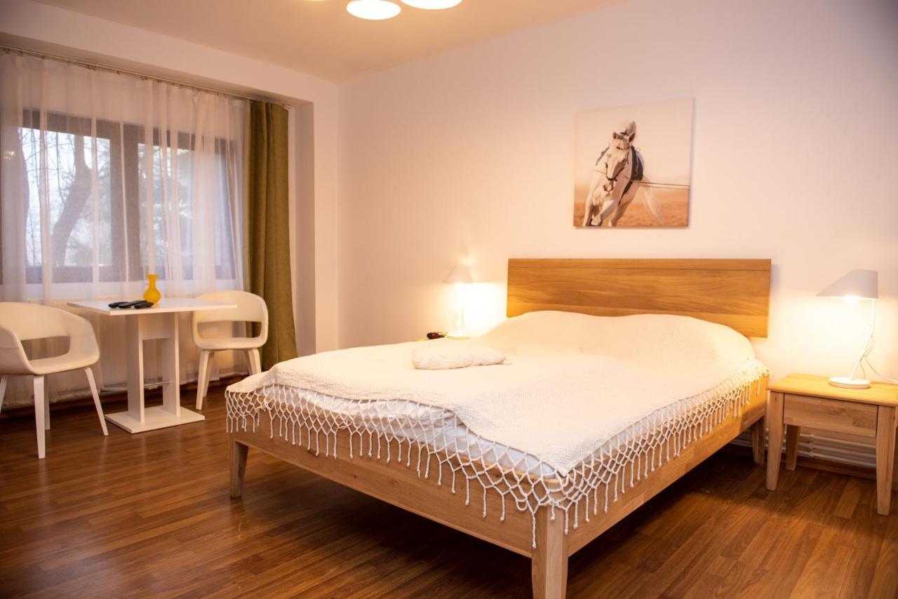 Classic Apartment Near The City Center Cluj-Napoca Eksteriør bilde