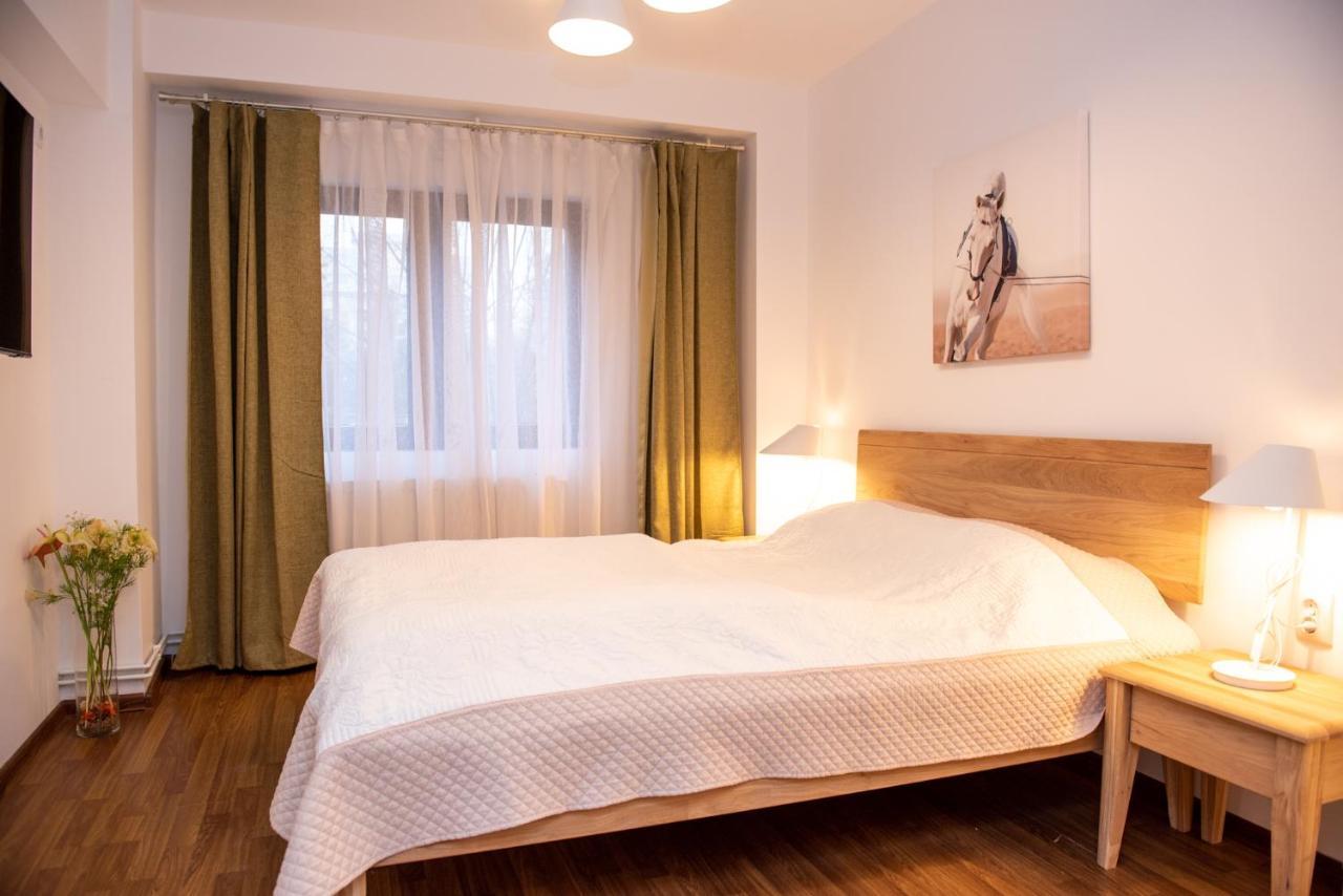 Classic Apartment Near The City Center Cluj-Napoca Eksteriør bilde
