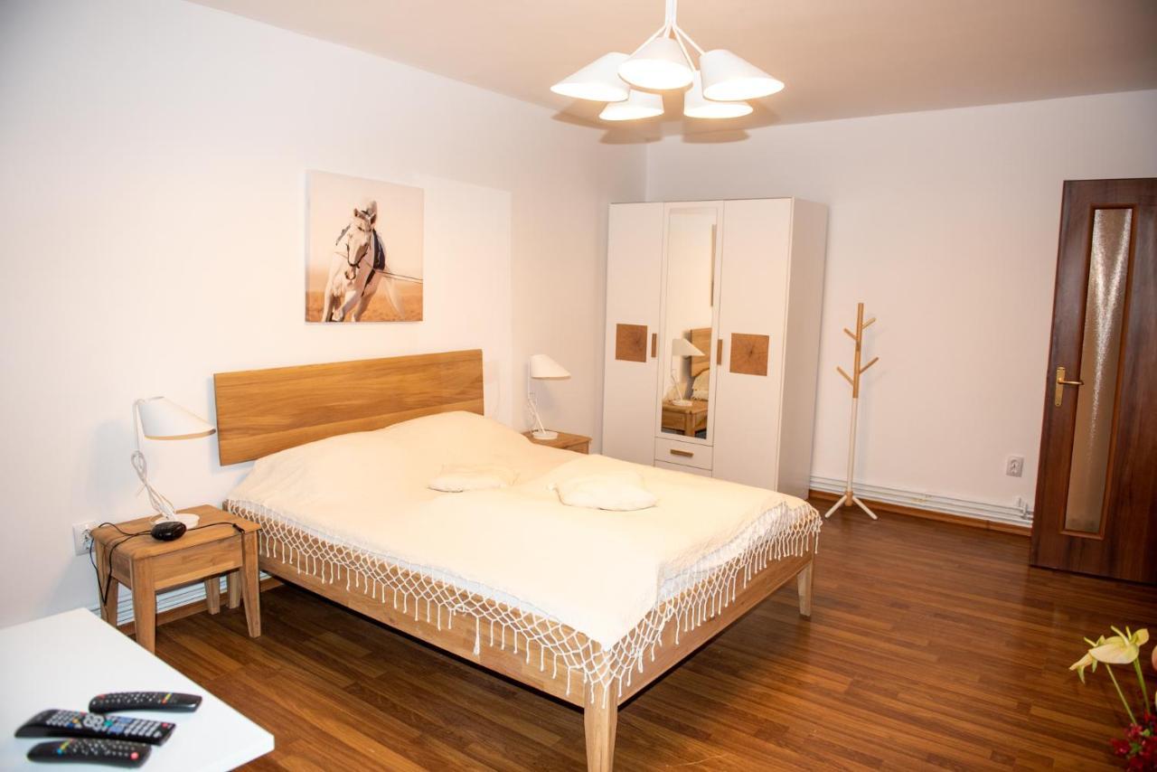 Classic Apartment Near The City Center Cluj-Napoca Eksteriør bilde